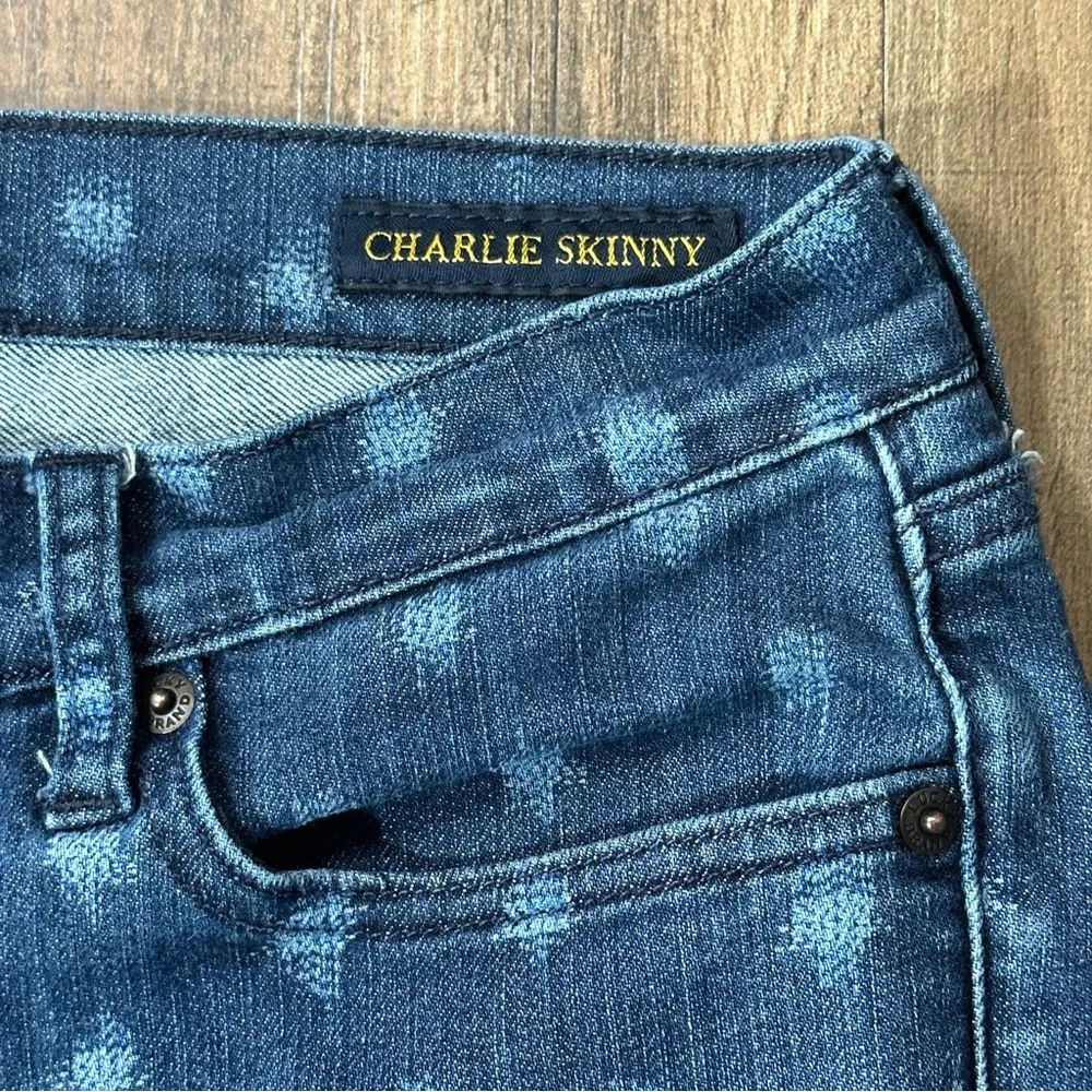 LUCKY BRAND CHARLIE SKINNY Low Rise Ikat Dot Pattern Ankle Jeans 6 / 28